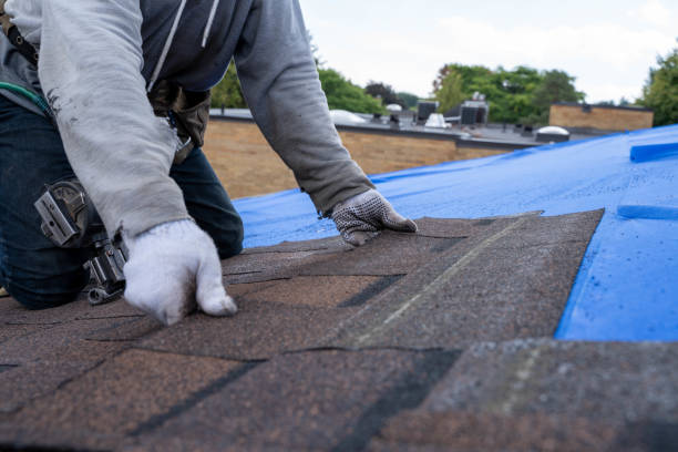 Best New Roof Installation  in Mount Carroll, IL