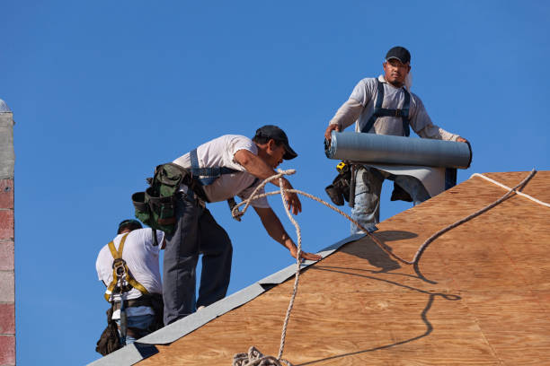 Best Roof Leak Repair  in Mount Carroll, IL