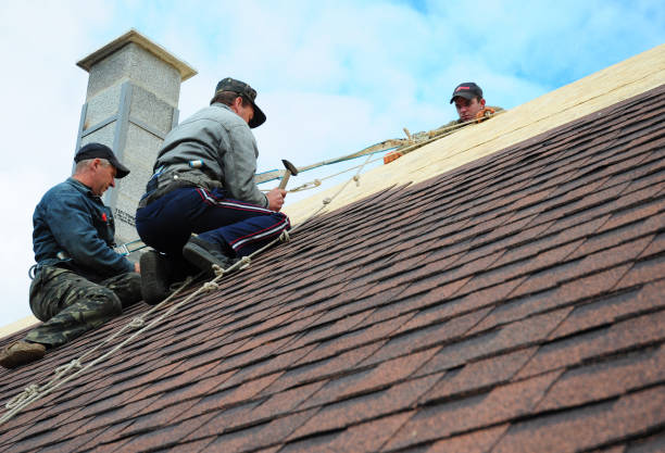 Best Tile Roofing Contractor  in Mount Carroll, IL
