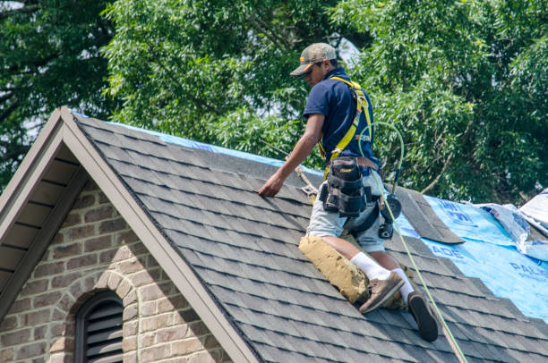 Best Shingle Roofing Installation  in Mount Carroll, IL